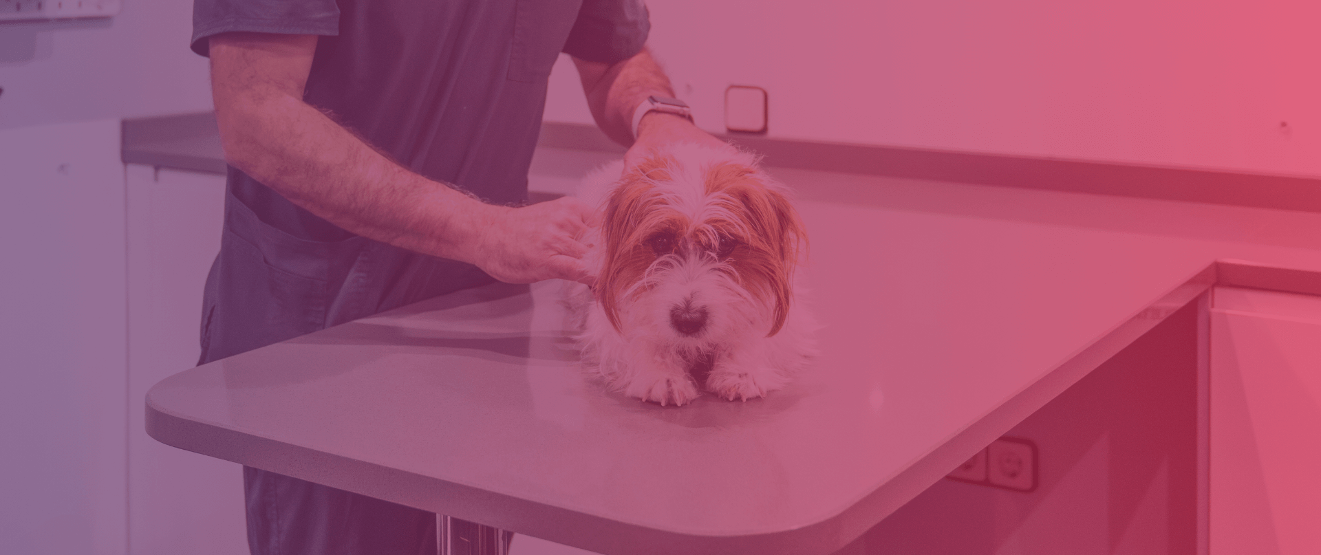 Clínica Veterinaria en Sentmenat