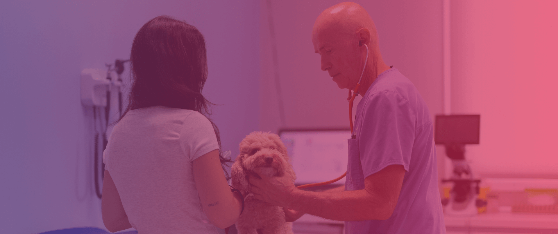 Clínica Veterinaria en Sentmenat